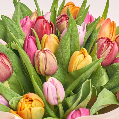 Product image Bouquet 25 tulips mix peony, packaging: Composite light pink, vendor code: 3236