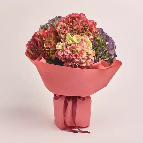 Изображение товара Букет 5 Гортензий Микс Биколор, упаковка: Каффин лососевый, артикул: 3250