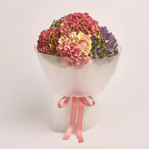 Product image Bouquet of 5 Hydrangeas Mix Bicolor, packaging: Transparent, vendor code: 3250