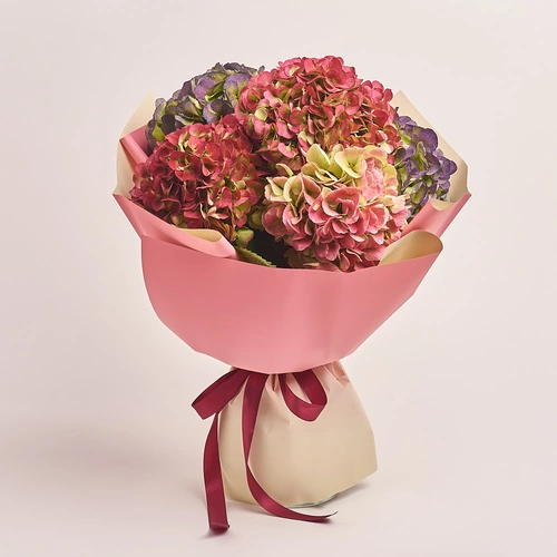 Product image Bouquet of 5 Hydrangeas Mix Bicolor, packaging: Gradiens pink, vendor code: 3250