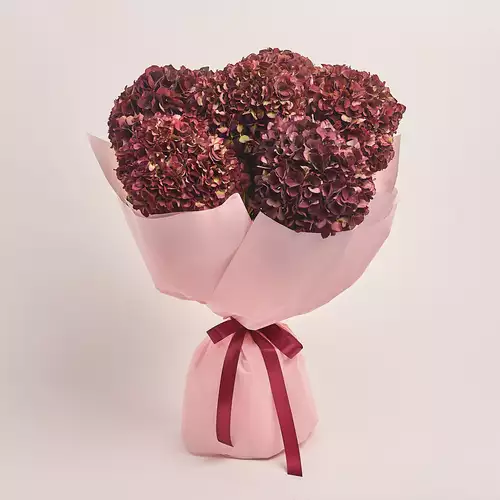 Product image Bouquet of 7 Вurgundy Hydrangeas Bicolor, packaging: Pink, vendor code: 3251