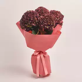 Bouquet of 5 Вurgundy Hydrangeas Bicolor