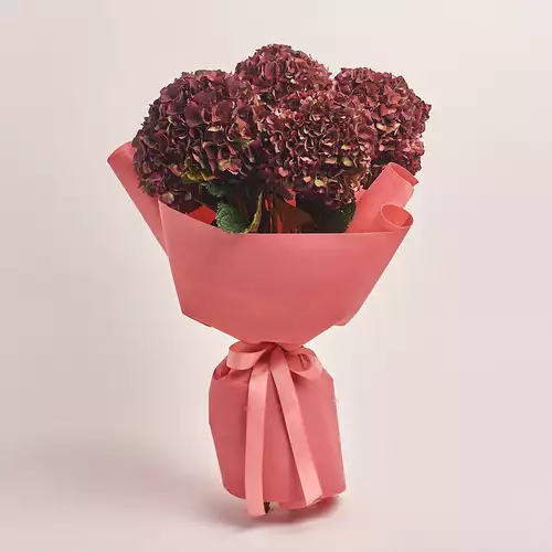 Product image Bouquet of 5 Вurgundy Hydrangeas Bicolor, packaging: Kafin rust, vendor code: 3252