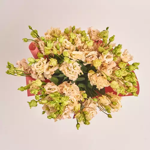 Product image Bouquet of 15 Peach Eustomas, packaging: Kafin rust, vendor code: 3254
