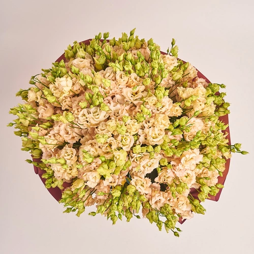 Изображение товара Букет 51 Персиковая Эустома, упаковка: Композит светло-розовый, артикул: 3255