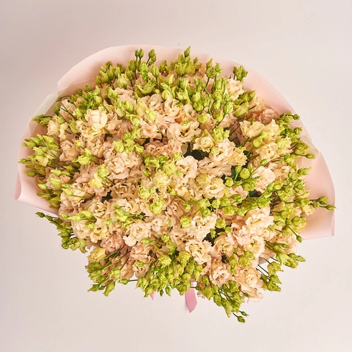 Product image Bouquet of 51 Peach Eustomas, packaging: Composite light pink, vendor code: 3255