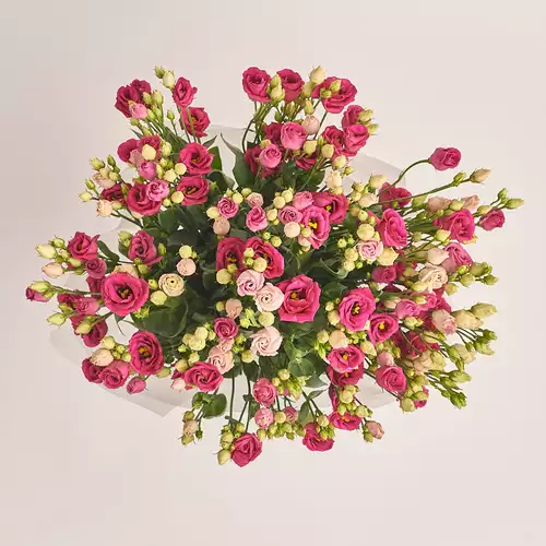 Product image Bouquet of 25 Red Eustomas, packaging: Transparent, vendor code: 3257