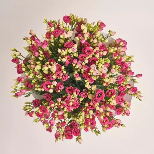 Product image Bouquet of 51 Red Eustomas, packaging: White, vendor code: 3258