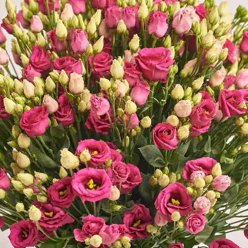 Product image Bouquet of 51 Red Eustomas, packaging: White, vendor code: 3258