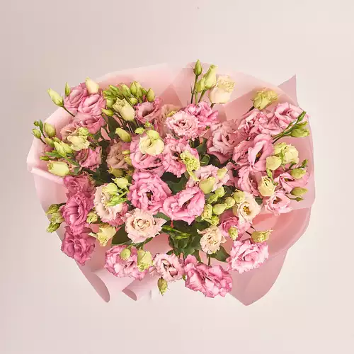 Product image Bouquet of 15 Light Pink Eustomas, packaging: Pink, vendor code: 3259