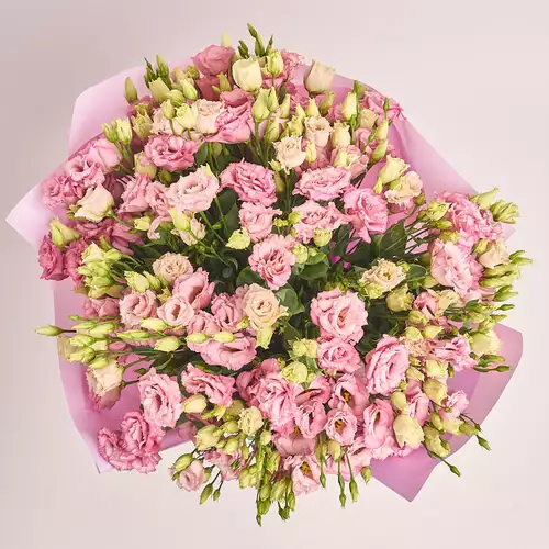 Product image Bouquet of 51 Light Pink Eustomas, packaging: Purple, vendor code: 3261