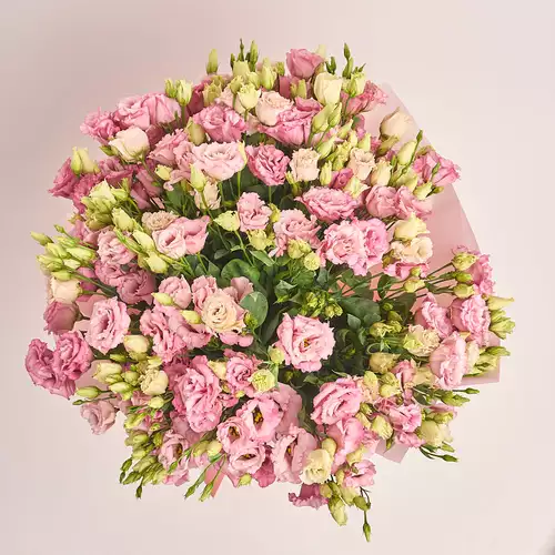 Product image Bouquet of 51 Light Pink Eustomas, packaging: Pink, vendor code: 3261