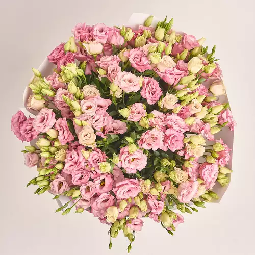Product image Bouquet of 51 Light Pink Eustomas, packaging: White, vendor code: 3261