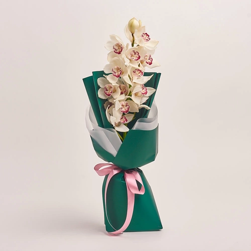 Зображення товару Букет 1 Гілка Білого Цимбідіуму, пакування: Зелена, артикул: 3262