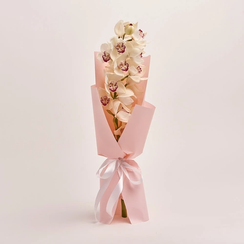 Product image Bouquet 1 White Cymbidium, packaging: Composite light pink, vendor code: 3262