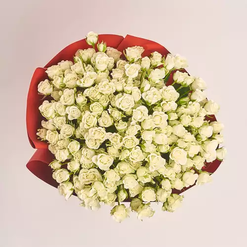 Product image Bouquet of 51  White Roses Spray, packaging: Red, vendor code: 3263