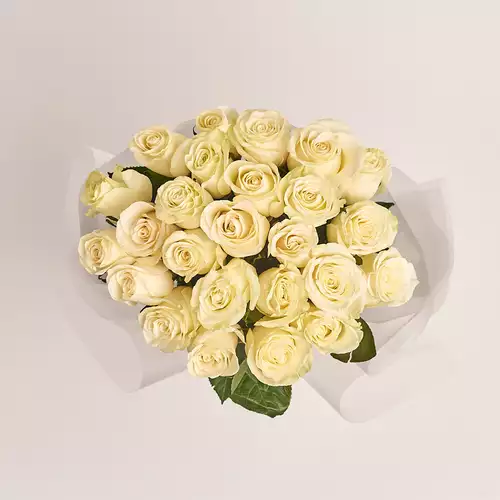 Product image Bouquet of 25 Roses Mondial, packaging: Transparent, vendor code: 3264