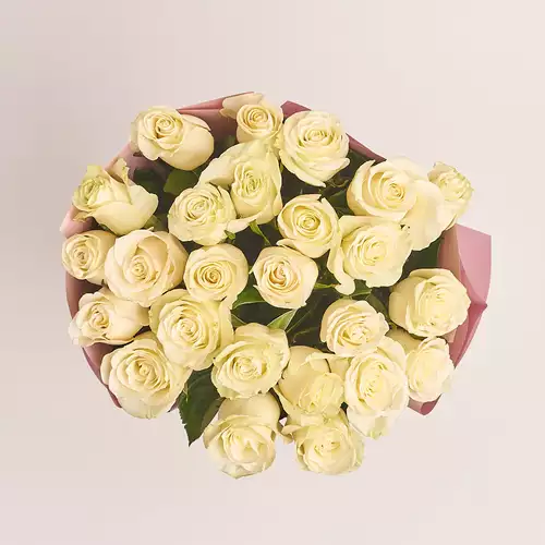 Product image Bouquet of 25 Roses Mondial, packaging: Gradiens violet, vendor code: 3264