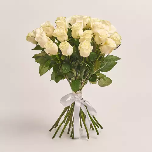 Product image , vendor code: 