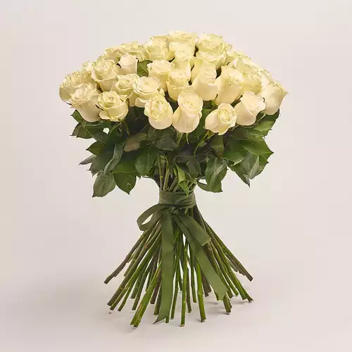 Product image , vendor code: 