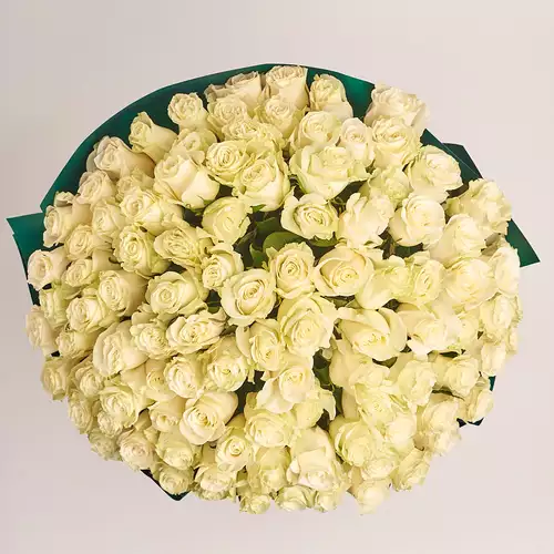 Product image Bouquet 101 Roses Mondial, packaging: Green, vendor code: 3266
