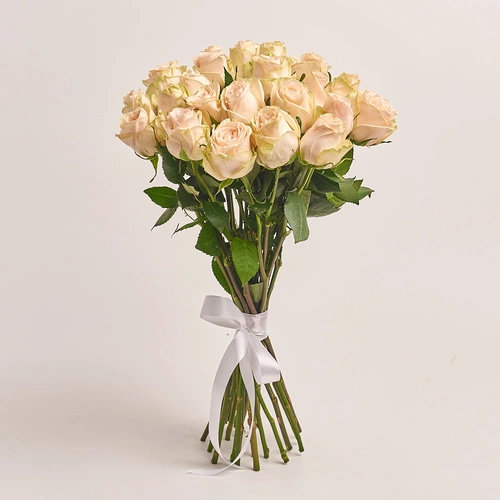 Product image , vendor code: 