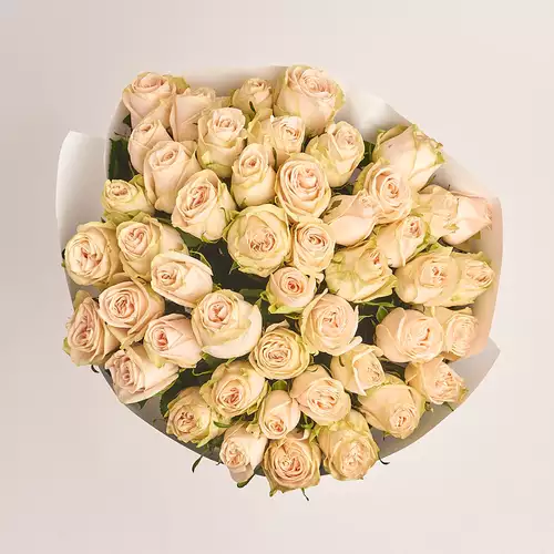 Product image Bouquet of 51 Roses Wedding, packaging: White, vendor code: 3269