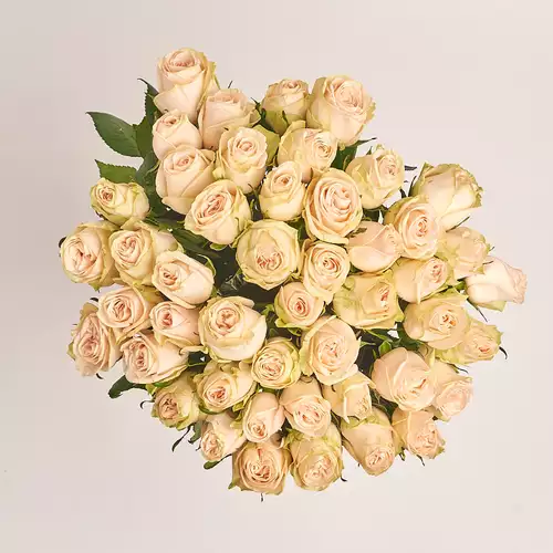 Product image Bouquet of 51 Roses Wedding, packaging: Without packaging, vendor code: 3269