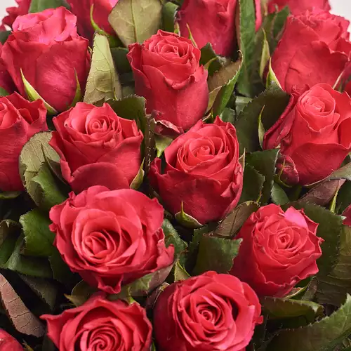 Изображение товара Букет 51 Роза Такази, упаковка: Розовая, артикул: 3271