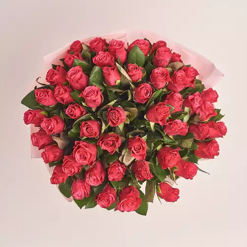 Product image Bouquet of 51 Roses Tacazzi, packaging: Pink, vendor code: 3271