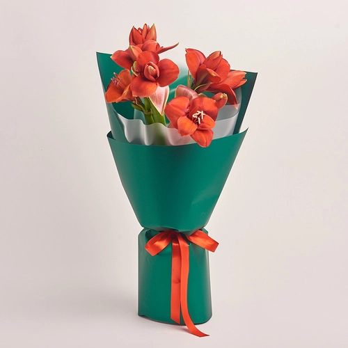 Product image Bouquet of 5 Amaryllises, packaging: Green, vendor code: 3272