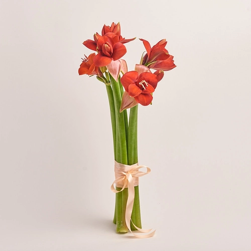 Product image Bouquet of 5 Amaryllises, packaging: Without packaging, vendor code: 3272