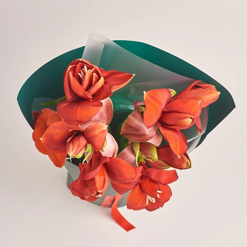 Product image Bouquet of 5 Amaryllises, packaging: Green, vendor code: 3272