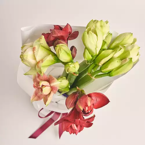 Product image Bouquet of 7 Amaryllises Мix, packaging: White, vendor code: 3273