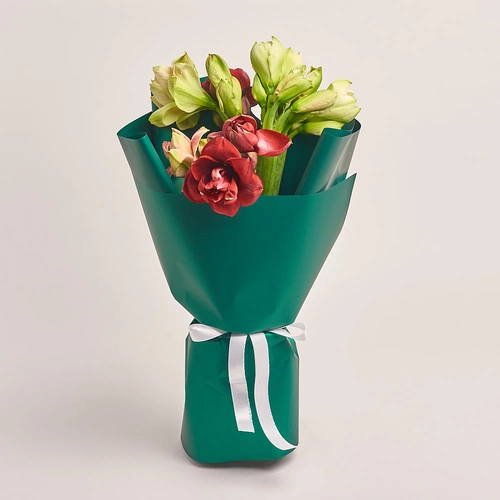 Product image Bouquet of 7 Amaryllises mix, packaging: Green, vendor code: 3273