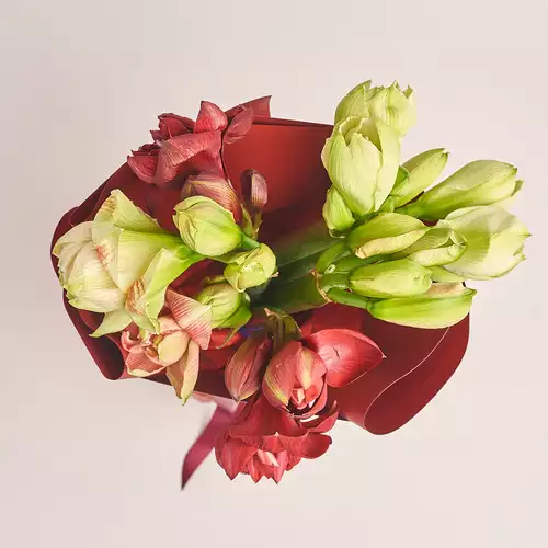 Product image Bouquet of 7 Amaryllises mix, packaging: Red, vendor code: 3273