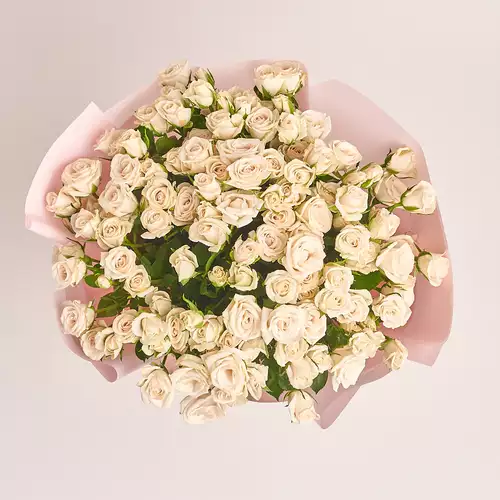Product image Bouquet of 25  Cream Roses Spray, packaging: Pink, vendor code: 3274