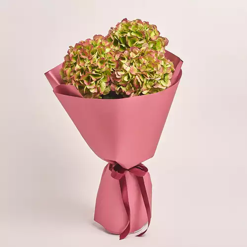 Product image Bouquet of 3 Red Hydrangeas Bicolor, packaging: Coral, vendor code: 3275