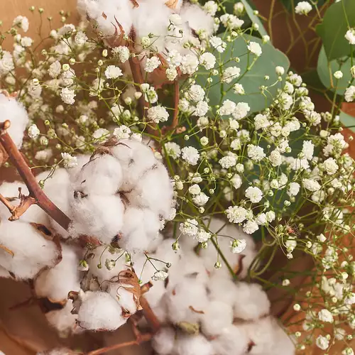 Изображение товара Букет 619, упаковка: Белая, артикул: 2304