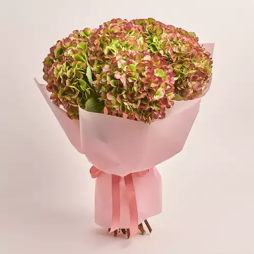 Product image Bouquet of 9 Red Hydrangeas Bicolor, packaging: Composite light pink, vendor code: 3276