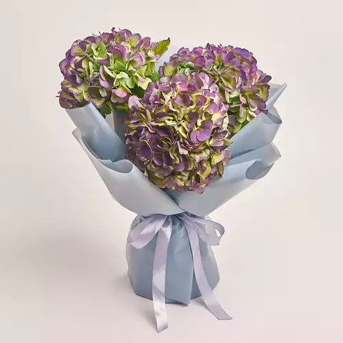 Product image Bouquet of 3 Purple Hydrangeas Bicolor, packaging: Gray, vendor code: 3277