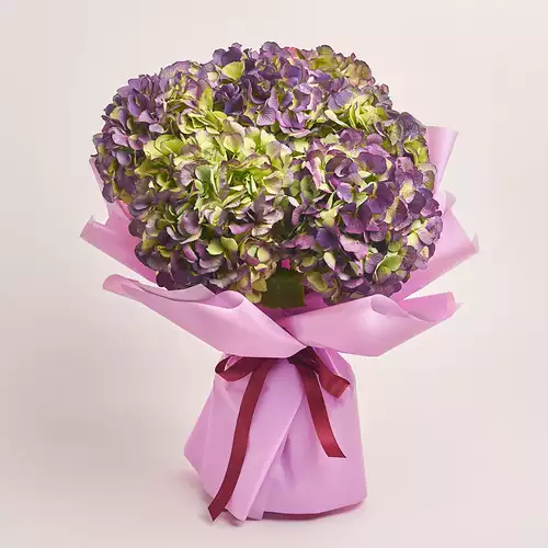 Product image Bouquet of 7 Purple Hydrangeas Bicolor, packaging: Purple, vendor code: 3278