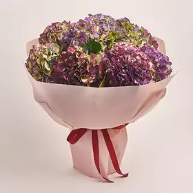 Bouquet of 9 Purple Hydrangeas Bicolor