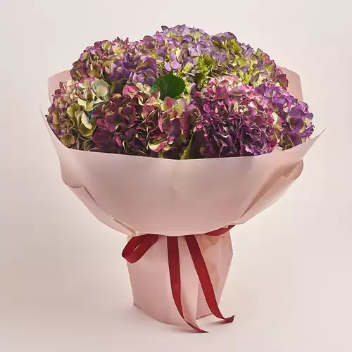 Product image Bouquet of 9 Purple Hydrangeas Bicolor, packaging: Powder, vendor code: 3279