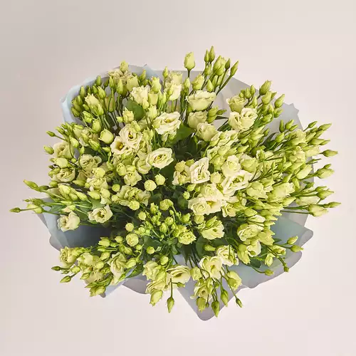 Product image Bouquet of 25 Creen Eustomas, packaging: Gray, vendor code: 3281