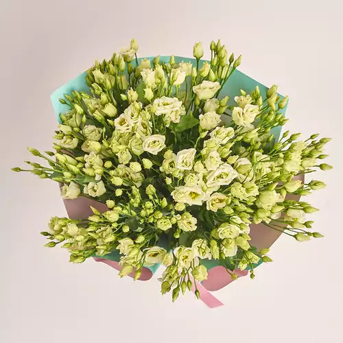 Product image Bouquet of 25 Creen Eustomas, packaging: Gradiens tiffany, vendor code: 3281