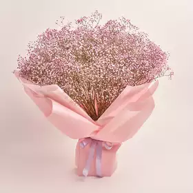 Bouquet 25 Pink Gypsophila