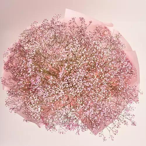 Product image Bouquet 25 Pink Gypsophila, packaging: Pink, vendor code: 3282
