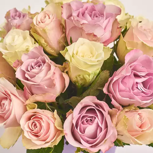 Зображення товару Кашпо 201, пакування: Фіолетова, артикул: 3283