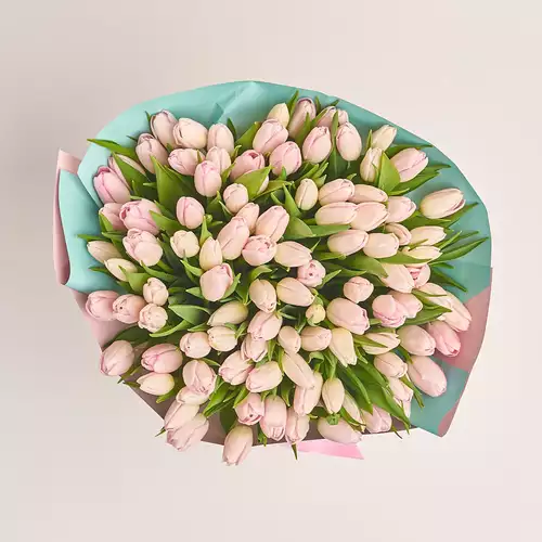 Зображення товару Букет 101 Світло-Рожевий тюльпан, пакування: Градієнт тіффані, артикул: 3285